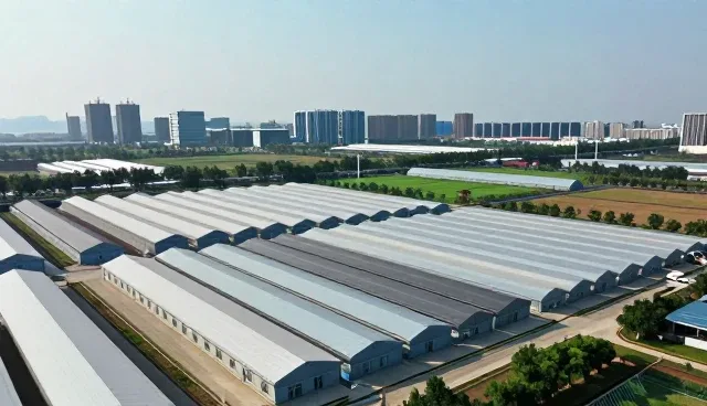 提升内容更新效率：技术支持的性能优化与适用场景分析